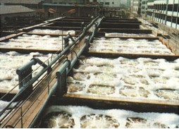 長(zhǎng)安環(huán)境評(píng)價(jià)/長(zhǎng)安環(huán)境評(píng)價(jià)公司